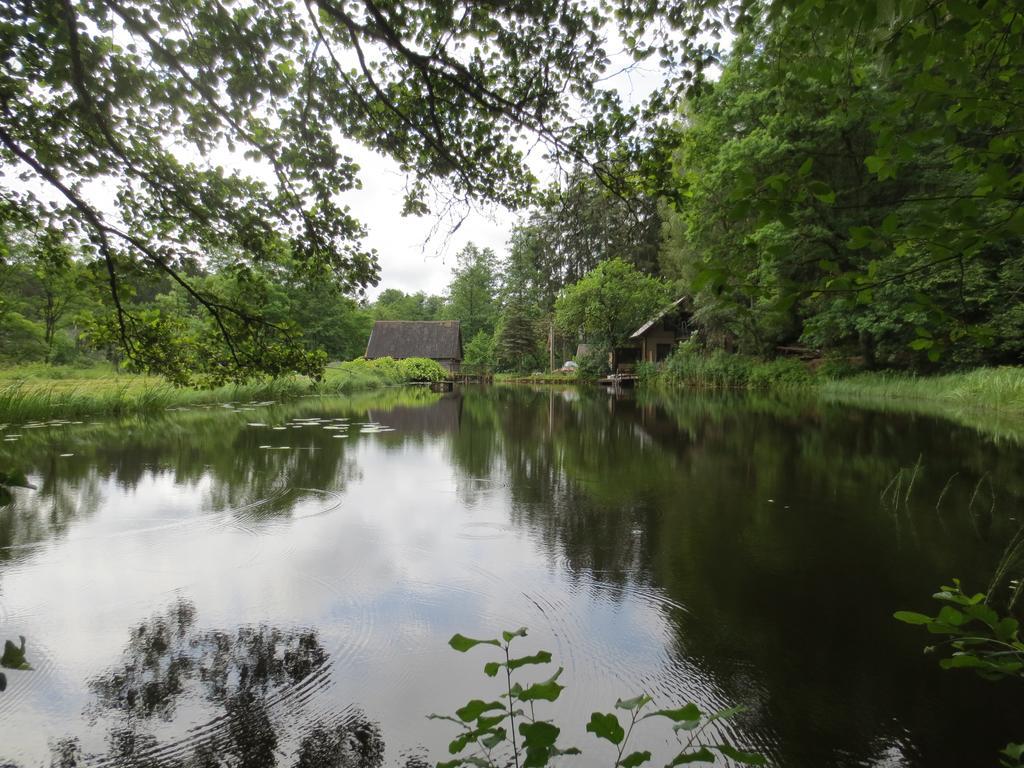 Mizarai Mill House Villa Друскининкай Екстериор снимка